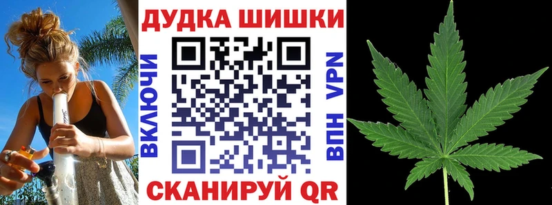 Меф мяу мяу Жиздра