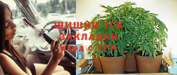 тгк Зерноград